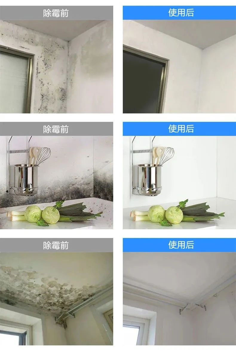 霉菌比*霜砒**毒还毒68倍?你家屋子里这些发霉的地方都清理了吗?