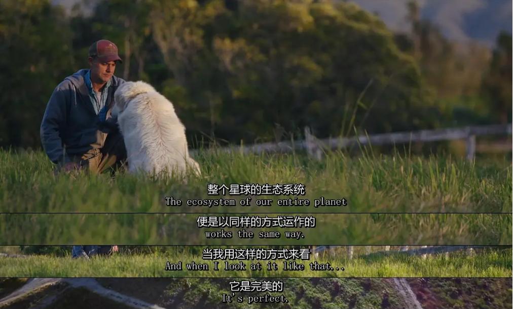 十年前，一对美国夫妻为了流浪狗买下1200亩的荒地，现在年入千万