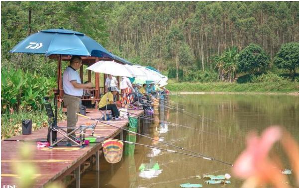 南宁隐藏的景点,南宁周边农家乐游玩景点推荐