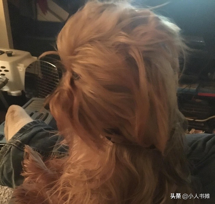 17张能让你发笑的动物照片,拒绝摆拍2019年最搞笑的动物照片