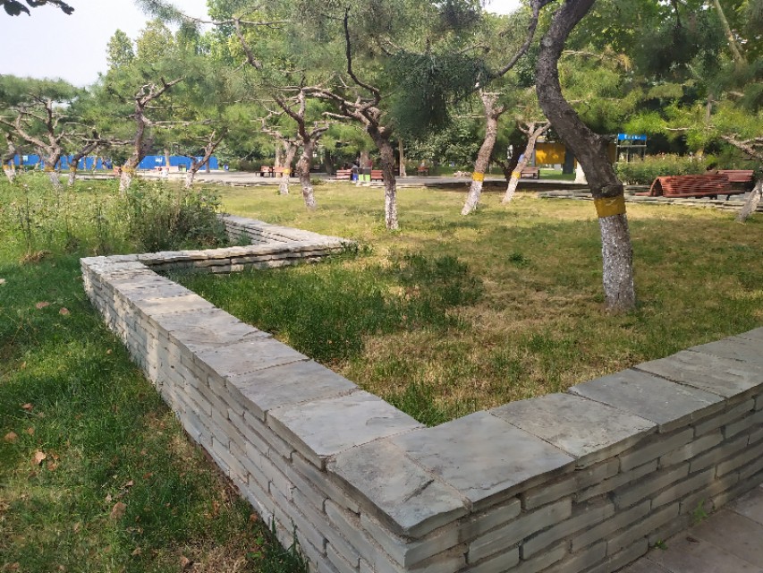 东环公园冬季图片,东环公园景点的介绍