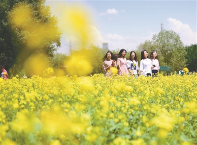 品质和平#我的家乡，那“大桥下面”