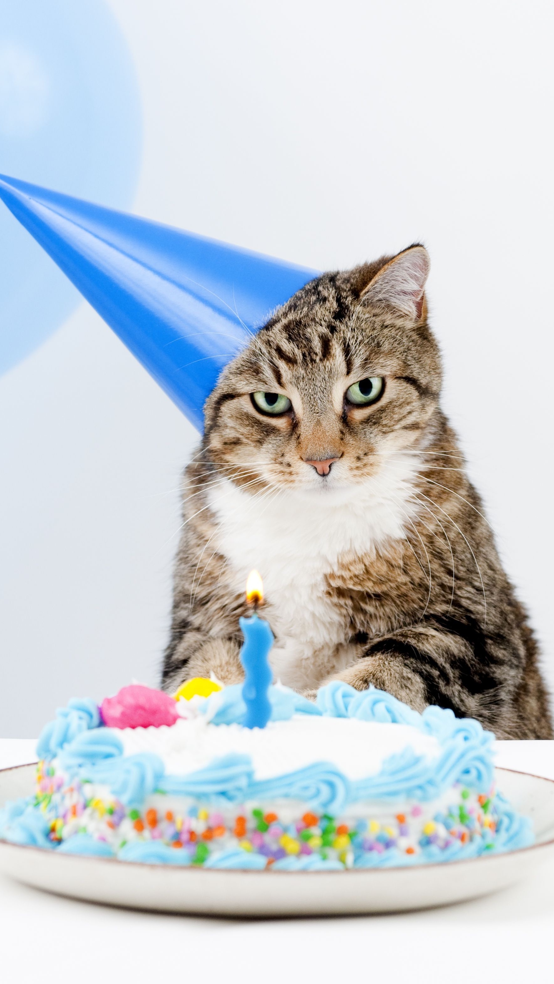 科学上网邂逅4K高清壁纸祝生日快乐贺卡素材，良心无水印系列专辑