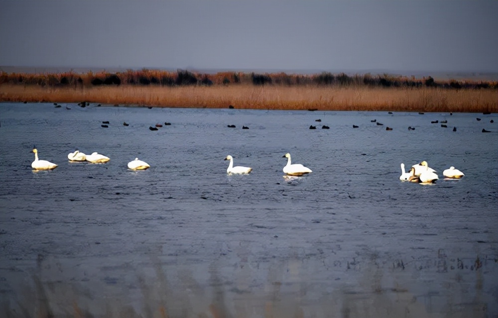 唱着古诗去旅行游遍中华好河山,走入古诗词走遍祖国大好河山