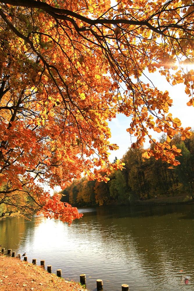 奢华宏伟,绝美的风景俄罗斯