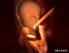 孕11周应该补什么营养,孕11周补充什么