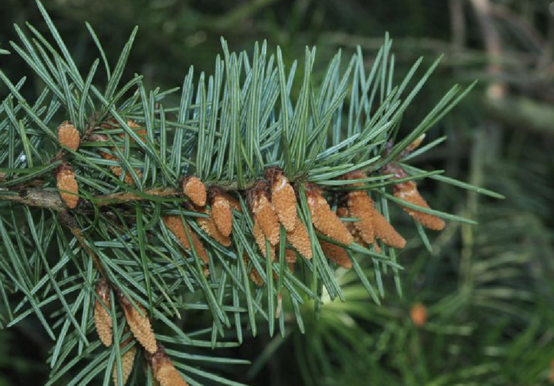 盘点奇葩美国车牌号,美国车牌为什么那么多图案