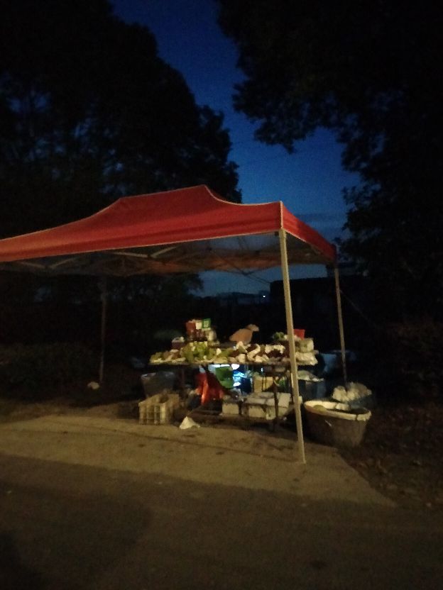 太仓印象，浮桥不是桥