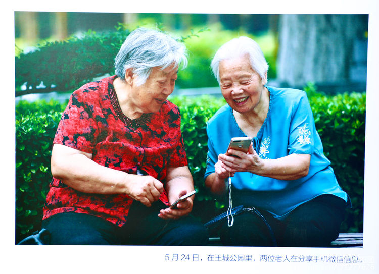 看洛阳牡丹花卉节,洛阳古都牡丹花展