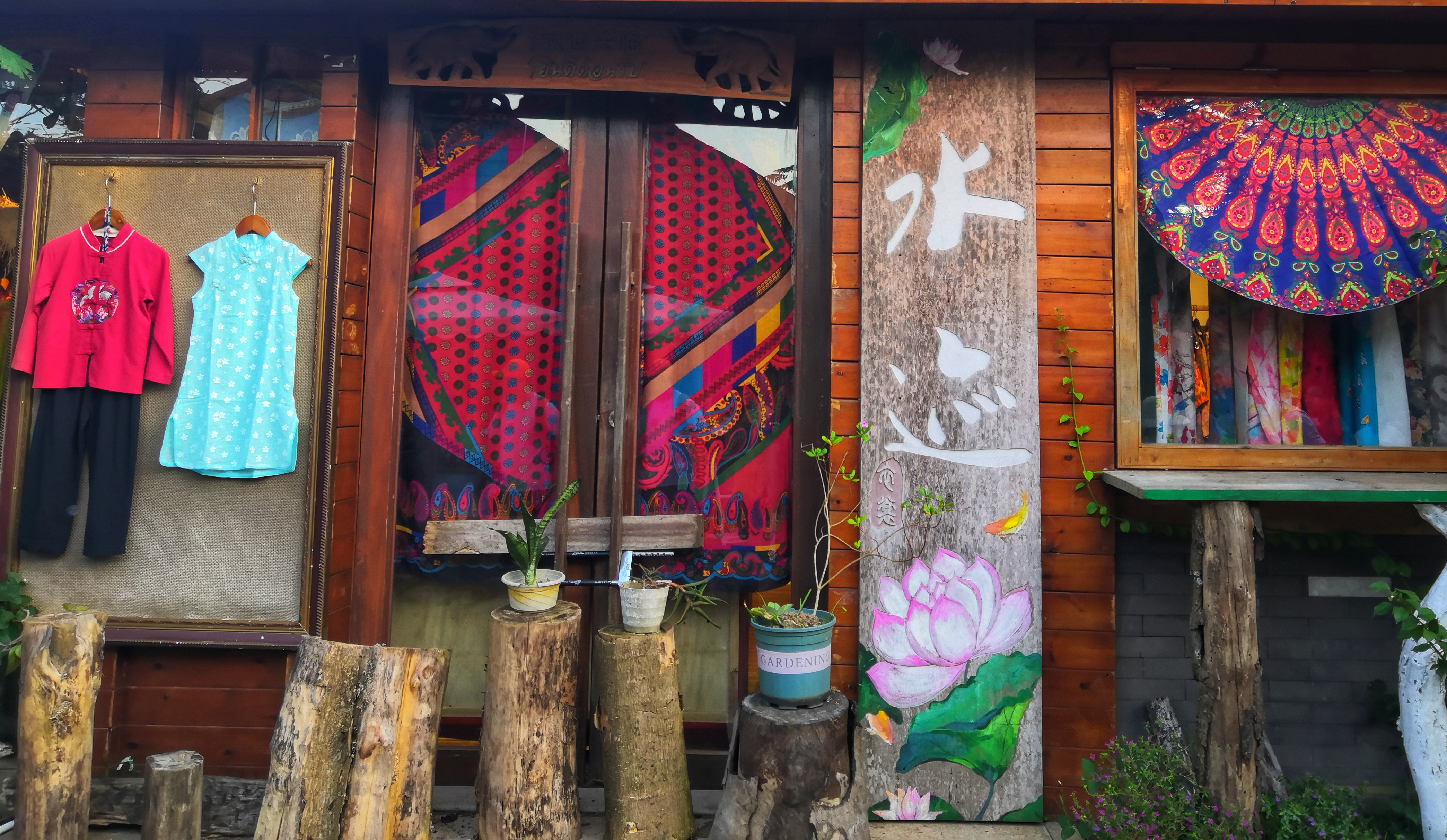 三亚亚龙湾热带天堂森林公园攻略,三亚好玩的原始森林