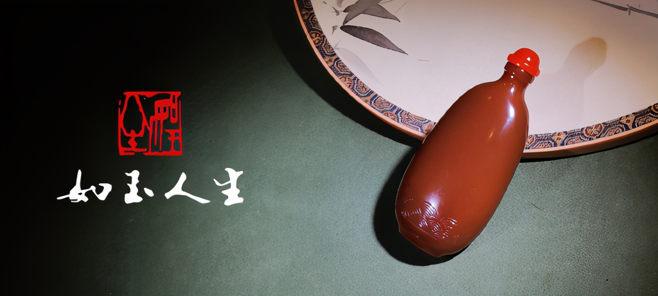 ​龙界大长腿：你见过长得像山东细犬的龙吗？