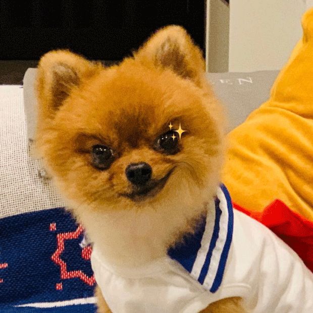 blackpink超美私服,blackpinkrosa衣服