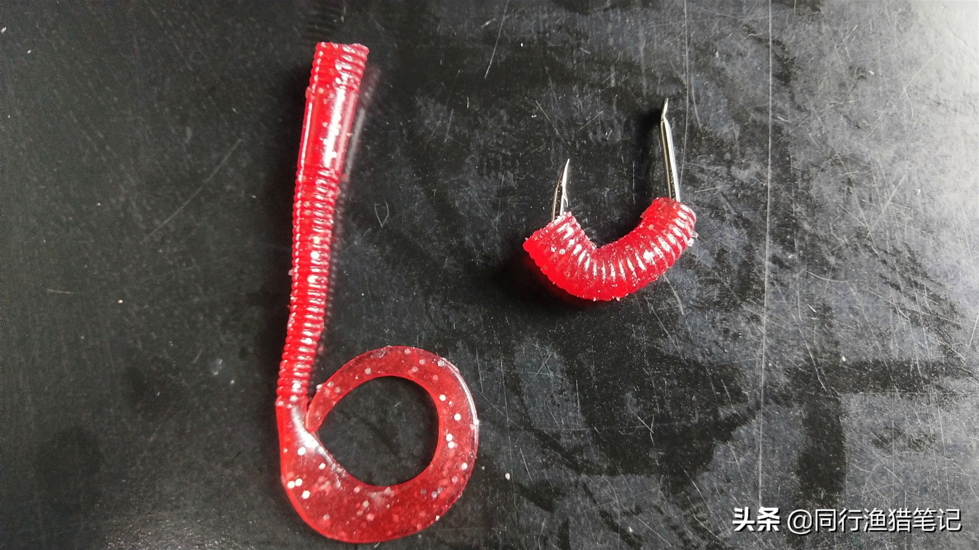 正确蚯蚓挂钩法钓小杂鱼,鱼比较小蚯蚓怎么挂钩