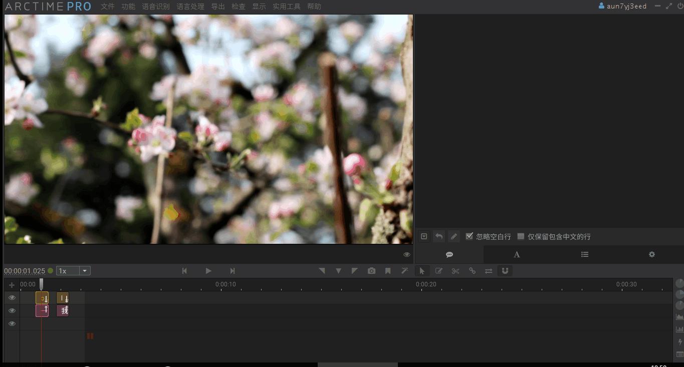 快速制作视频字幕,推荐这款可视化字幕软件给你