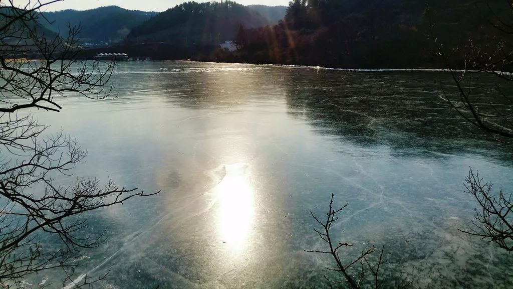 微博股票暴跌原因,微博股价为什么暴跌