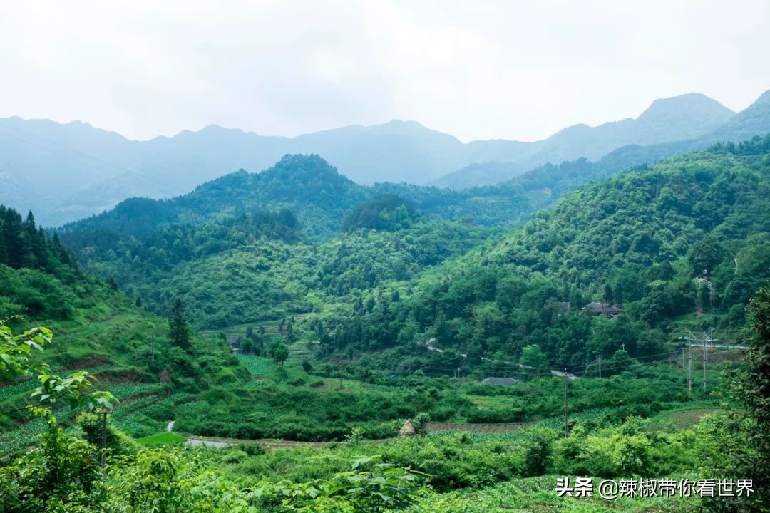 从西到东:贵州——沿河流“黔”行在这里一万种辣椒吃法向你奔来