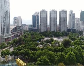 实学明方向笃行铸忠诚心得体会,学深悟透践初心笃行实干担使命