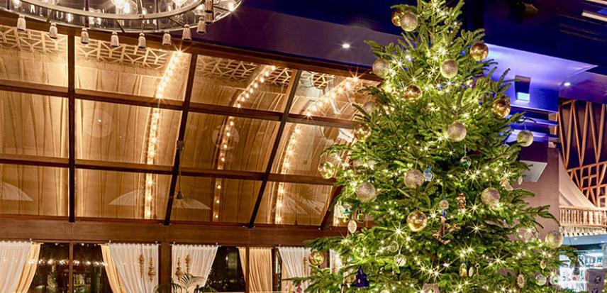 最贵的圣诞树多少钱一棵,全世界最重的圣诞树