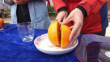 是橘是柚傻傻分不清？一个果子重1斤，1斤卖到30块！棚里种价格再翻一番