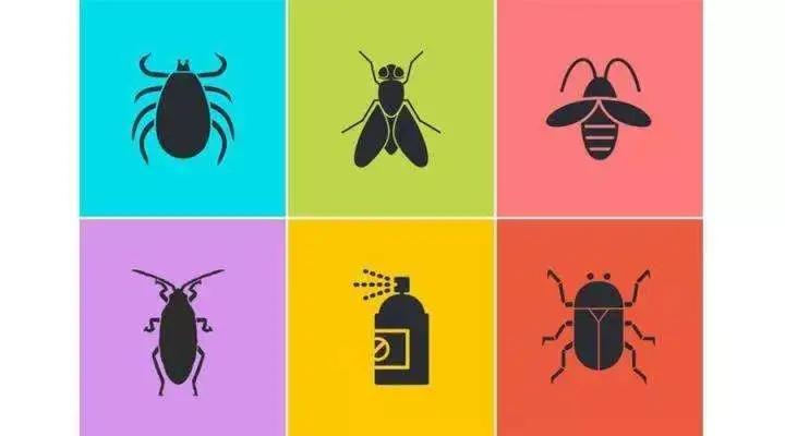 pco消杀行业,企业消杀效果怎么样