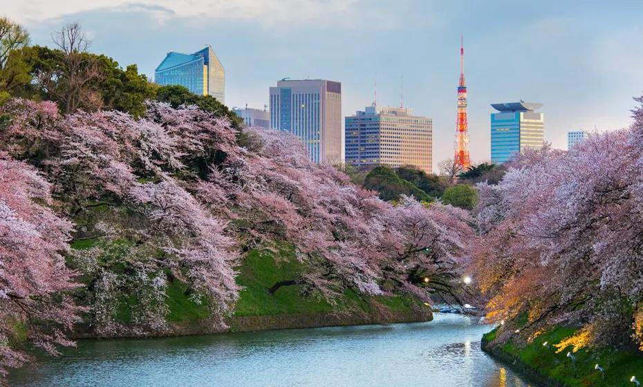 蒋勋细说红楼梦宝玉给大观园起名,蒋勋细说红楼梦在哪里听书