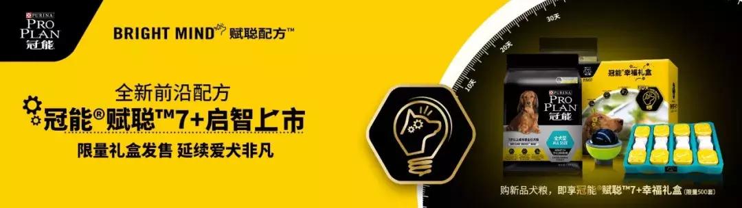 冠能厉害了！差点逼我粉上皇家