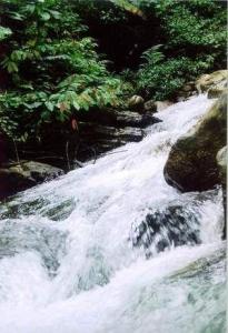 广西百色市医院概况,广西百色市靖西县概况