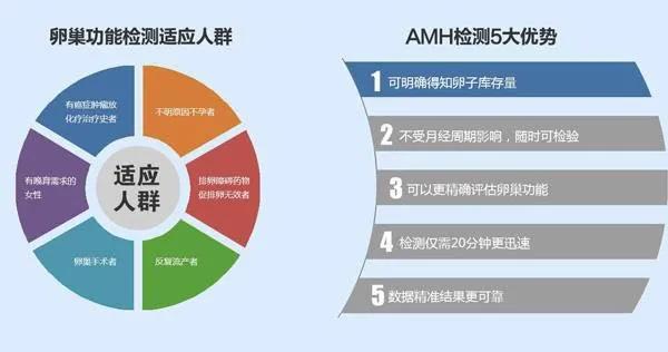 amh怎么在手机上查询结果,amh如何预测绝经年龄