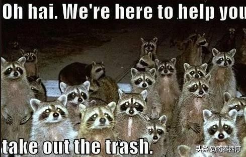 涓浗缃戞皯缇庡浗缃戞皯,涓浗缃戞皯缇庡浗