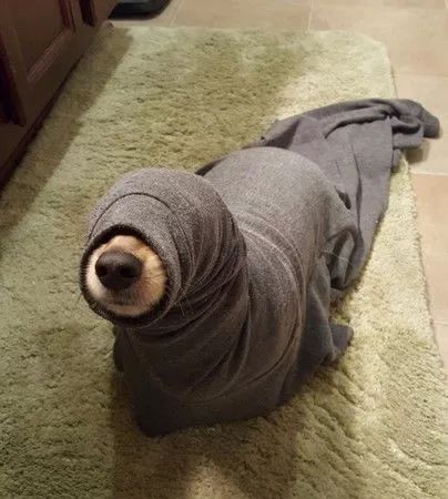 孩子的“鸡鸡”短、包皮长,家长要注意