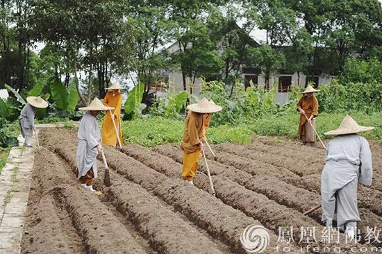 五祖寺和五祖禅院有什么区别,农禅合一起源