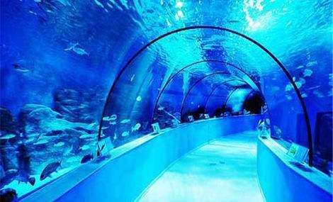 西安带孩子们最值得去的海洋公园,遛娃海洋馆打卡视频