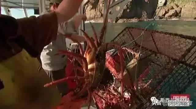 黑帮都用什么货币,黑帮的硬通货