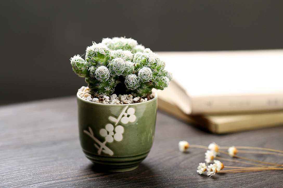 秋天室内干燥对身体有害吗？如何让室内保持舒适湿度？