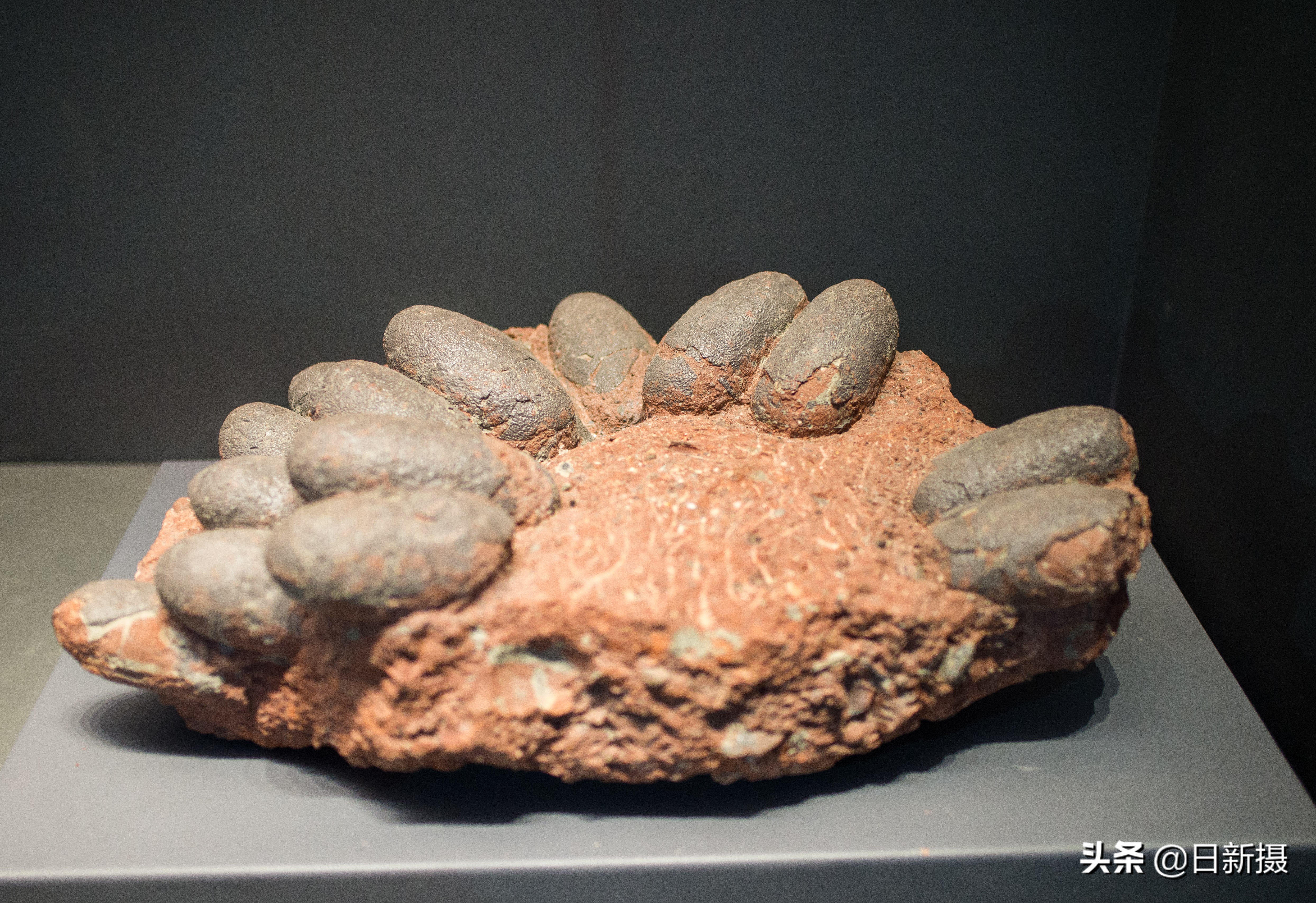 国家海洋博物馆之行,国家海洋博物馆蓝色海洋体验馆