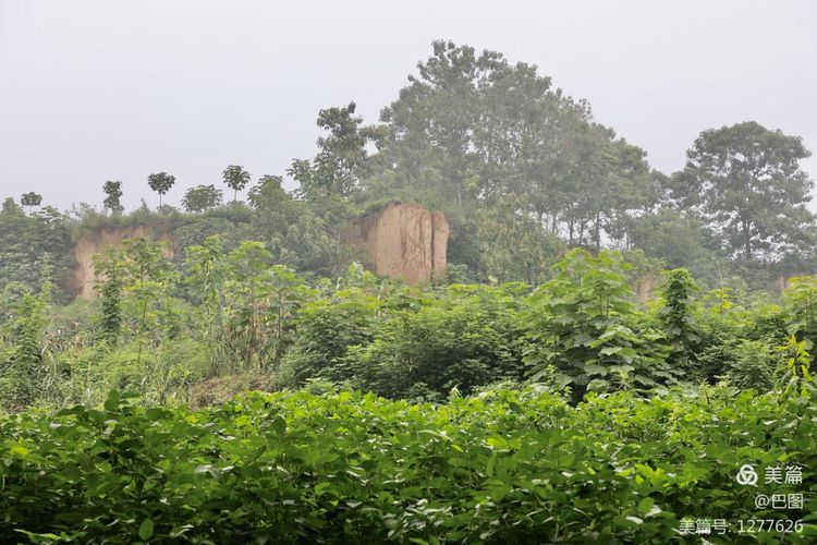 末伏偃师怀旧行，访古春秋时期滑国故城，探幽西天取经唐僧寺