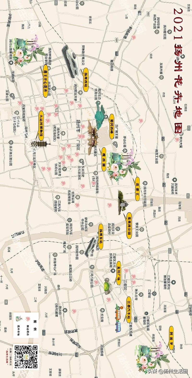 2元花盆批发清仓,2元花卉批发市场