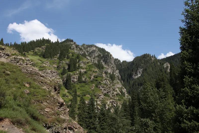 万里丝绸路,万里茶道丝绸之路