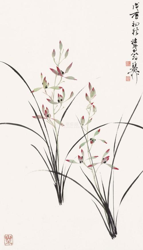 淡彩兰花100幅,顶级淡彩兰花图片