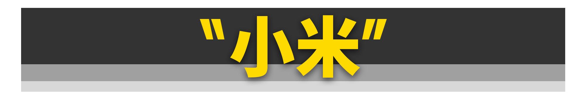 鎵嬫満鍘傚晢閫犺溅,鎵嬫満鍘傚晢涓轰綍璺ㄧ晫閫犺溅