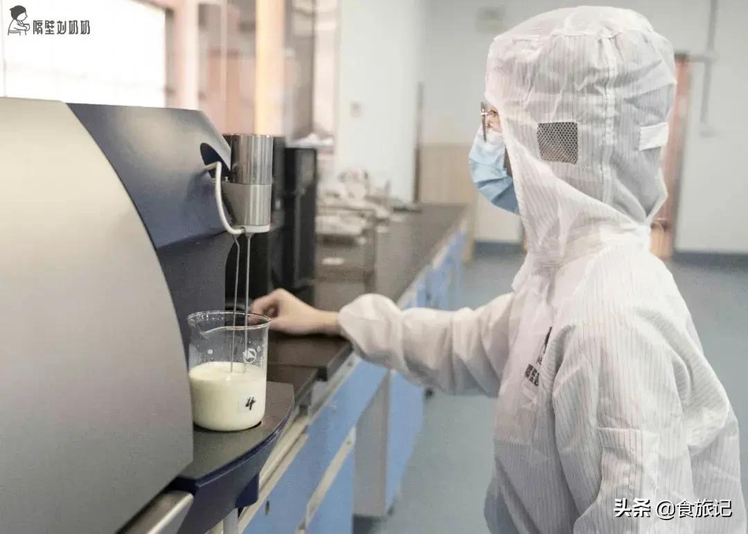 水牛奶和牛奶哪个营养价值高,水牛奶为什么和奶酪一样