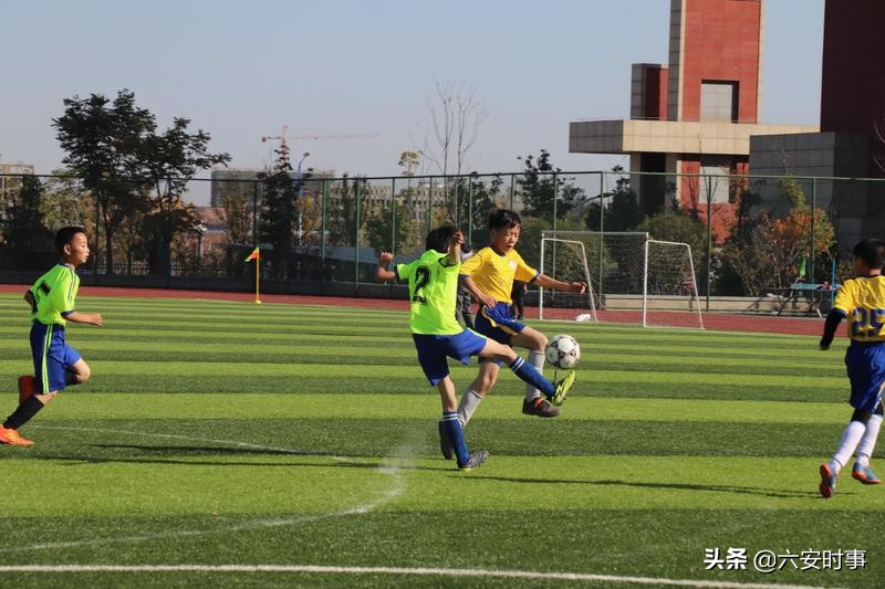 金寨新华杯足球比赛高中组,金寨青少年新华杯乒乓球联赛