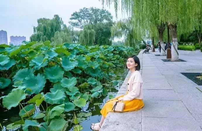 中国著名赏荷胜地,中国最著名的十大赏荷地