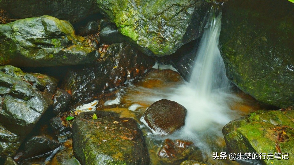 云南曲靖尼珠河大峡谷,云南西部大峡谷风景区