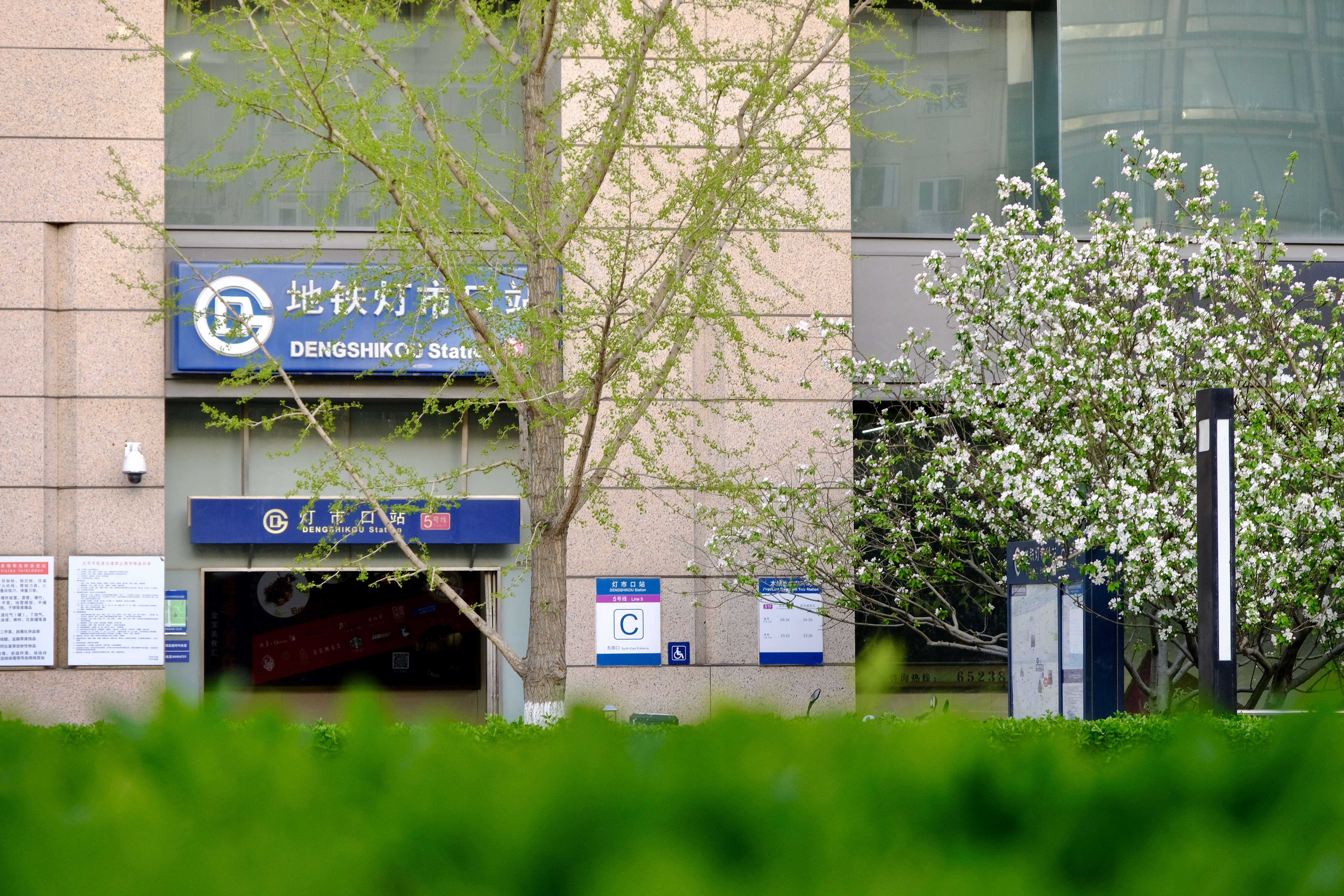 开往地铁上的春天,开往春天的地铁邂逅京城的花开