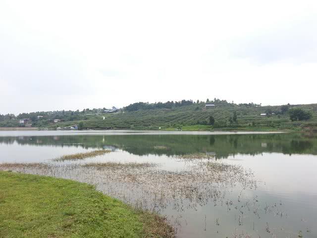 哪些地方可以钓到大草鱼,在野外能钓到大鱼吗