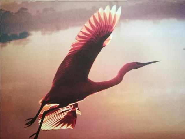 大理自驾去丽江路线攻略图,大理到丽江自驾旅游详细攻略