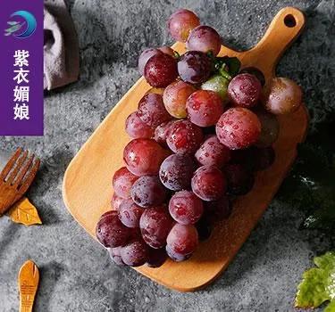 参展企业介绍,参展种业博览会的公司