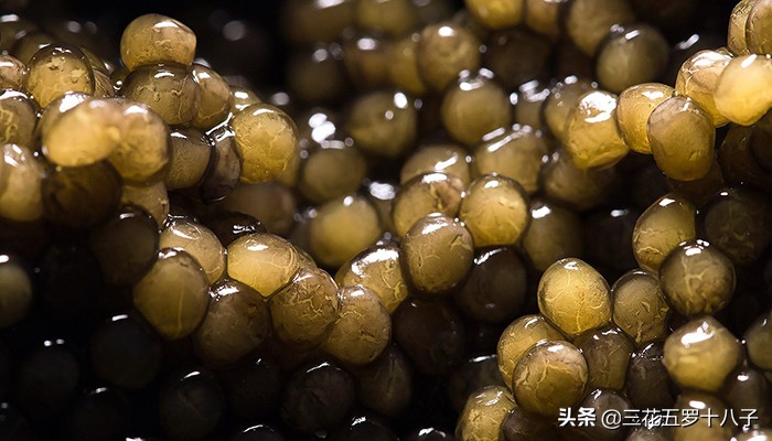 鱼子酱是三大奢侈品美食吗,世界三大美食鱼子酱