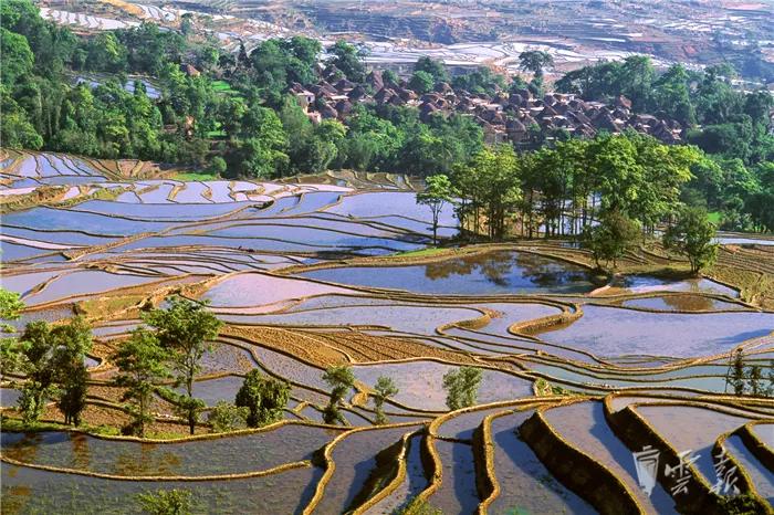 云南昆明的非物质文化遗产是啥,云南非物质文化遗产